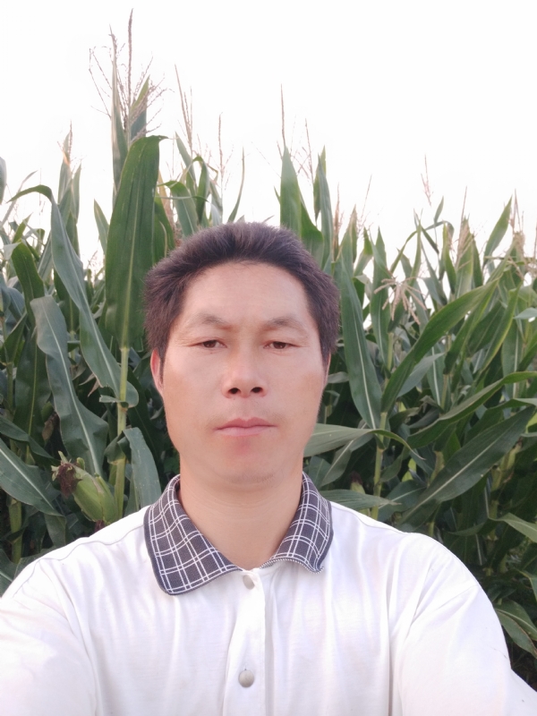 四海游龙的第一张照片--宁德相亲服务中心