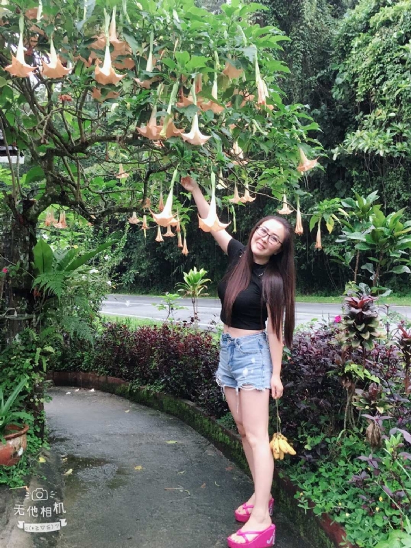 离异单身无子的第二张照片--宁德相亲服务中心