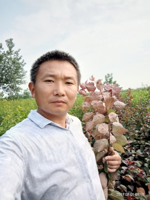孩子爸的第一张照片--宁德相亲服务中心