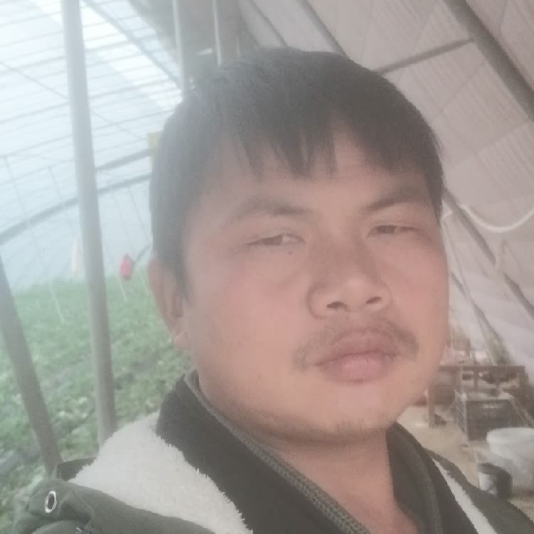 孤狼‘的第一张照片--宁德相亲服务中心