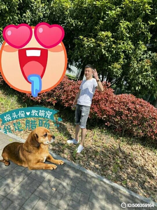 我若不坚强谁替我勇敢的第一张照片--宁德相亲服务中心