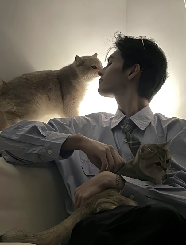 怪猫的第一张照片--宁德相亲服务中心